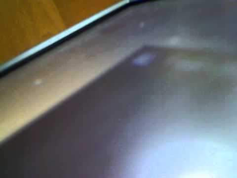 MR.ANDO OF THE WOODS COVER