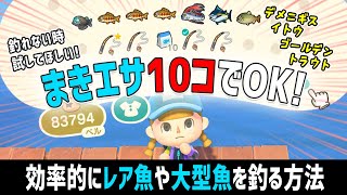 レア魚・大型魚を効率的に釣る方法/デメニギス・ゴールデントラウト・イトウが簡単に釣れた！【あつ森】