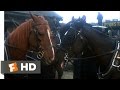 Black Beauty 1994 My Precious Friend Scene 9 10 Movieclips