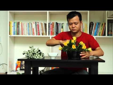 Hướng dẫn cắm hoa ngày tết