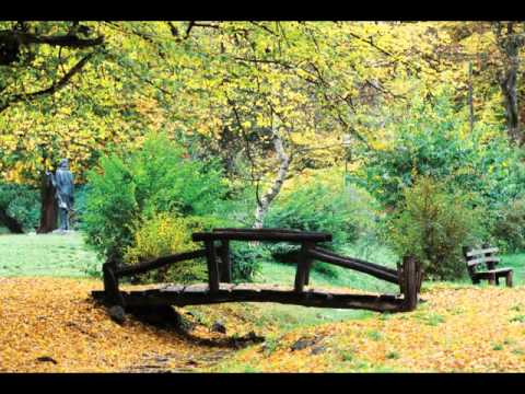 Barvinok - Ci znajes