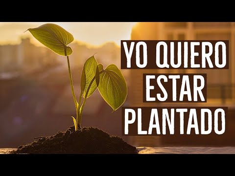 CANCIÓN DE UN SIERVO (cover)   PR PABLO