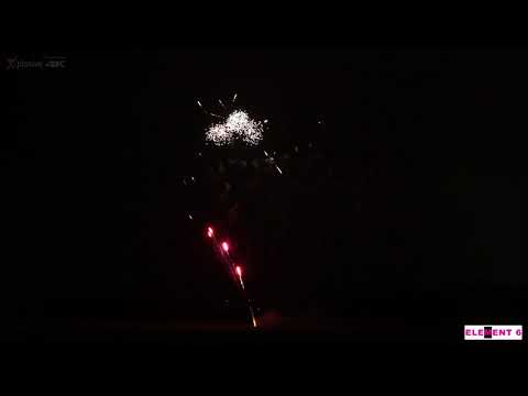 SCB902 - 225s 20mm Royal Saute (4k video)