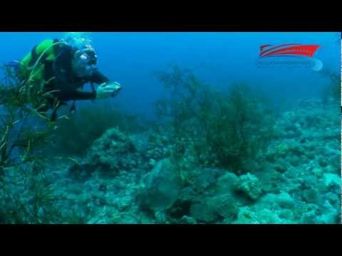 Weekly best of Sudan 15-28.04.2012