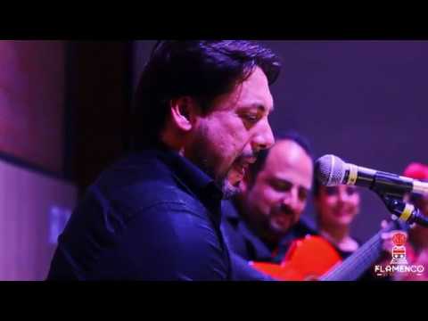 JUANMA MAYA JUAN DE PILAR Y PEDRO PEREZ - BULERIAS