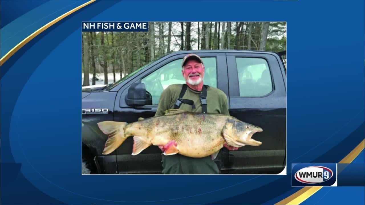 Meredith man reels in record catch