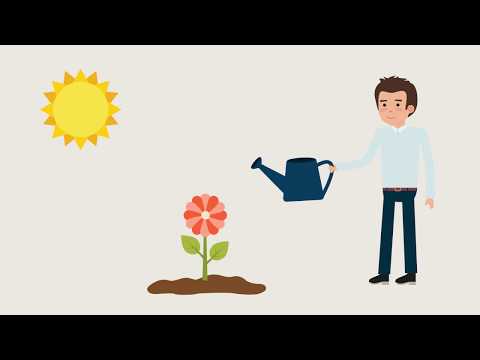 Komplexität als Chance verstehen – Über den richtigen Umgang mit Komplexität