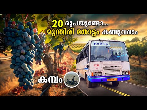 Cumbam Grape Farm | 20 രൂപയുണ്ടോ. മുന്തിരി തോട്ടം കണ്ടുവരാം | Kumily to Cumbam Ksrtc Bus | free20
