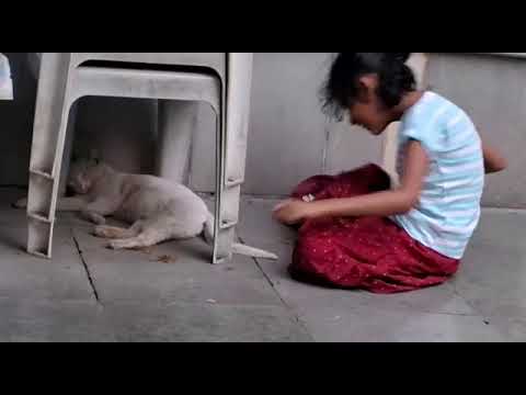 durva's fun with cat