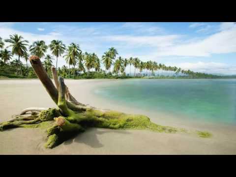 video con codec vp8 webm convertido con Miro