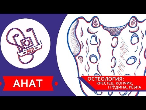Локтевой сустав сухожилие Защемление нерва в пояснице при грыже лечение