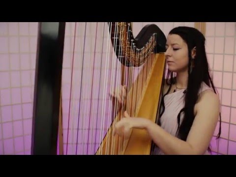 Zelda's Lullaby [Koji Kondo] // Amy Turk, Harp