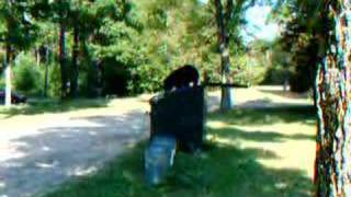 preview picture of video 'Bear getting in the trash'