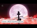 [Lyrics + Vietsub] Insane - Black Grpyh0n & Baasik
