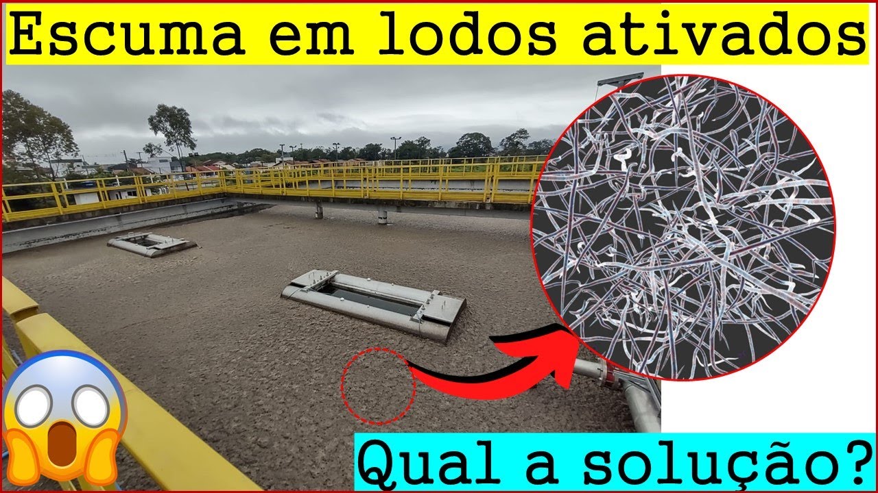 Escuma em lodos ativados