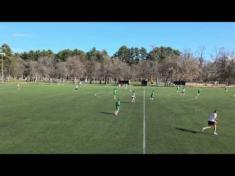 FK Pelister 2013 - ZFK Top gol 1-poluvreme 31.01. 2026