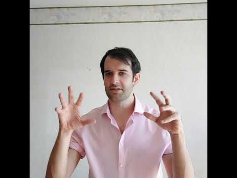 World, Elements, Experience: Proclus on the Body of the World