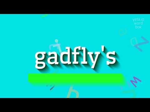 HOW TO PRONOUNCE GADFLY'S?