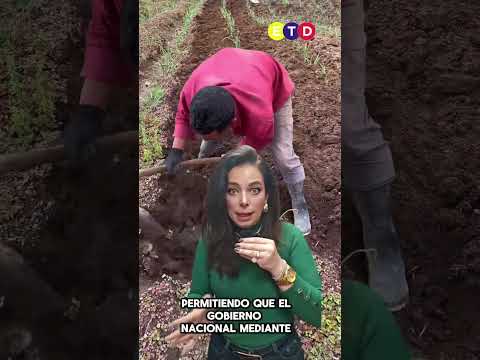APA Expropiacion Silenciosa