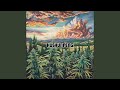 Burn The Herbs (2024 Remaster)