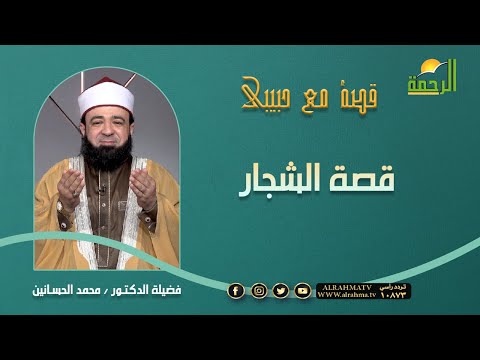 قصة الشجار  || قصة مع حبيبي || الشيخ محمد الحسانين