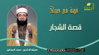 قصة الشجار  || قصة مع حبيبي || الشيخ محمد الحسانين