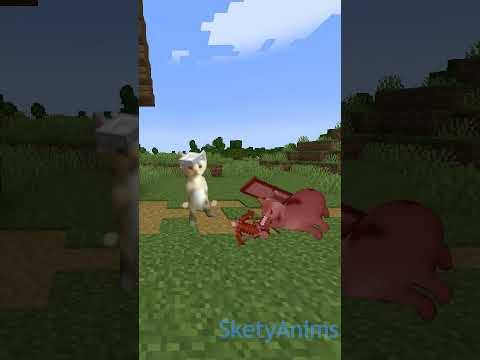 Miguel X Pillager Outpost