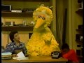 Sesame Street Telly Big Bird Play Hide And Seek