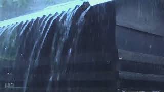 Best Rain Sounds for Sleeping | Real Heavy Rainstorm & Mighty Thunder on Tin Roof | White Noise