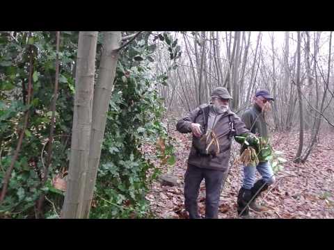 Fontaine le Comte le 17 Décembre 2016