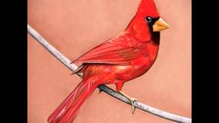 Young Cardinals (HQ) (HD) (with lyrics) - Alexisonfire