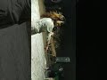 New Hot Mujra