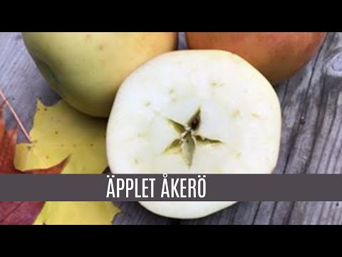 Äpplet Åkerö
