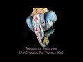 Ganapathi Mantras (PsyChodelic PsyTrance Mix)