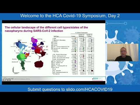 Human Cell Atlas Covid-19 Symposium Day 2: Cross-talk between the airway epithelium and activated