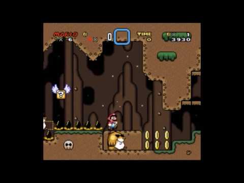 VLDCX Entry - VESTIGIA CAECA