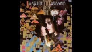 Siouxsie and the Banshees -  Painted Bird