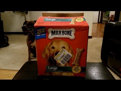 YouTube video about: Can hamsters eat milk bone dog treats?