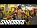 SHREDDED Back Workout w/ Teen Mens Physique Competitor