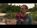 Agroforestry-landbouw tot leven gewekt op de Floriade