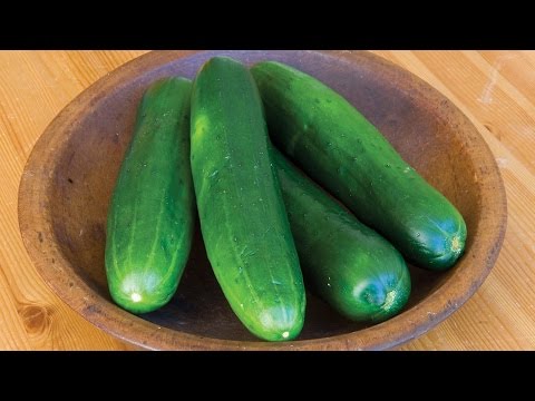 Learn all about growing Cucumbers