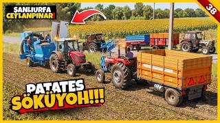 BU SENE PATATES PARA ETTİ! | ŞANLIURFA GERÇEK HAYAT | FS25 S9 B38
