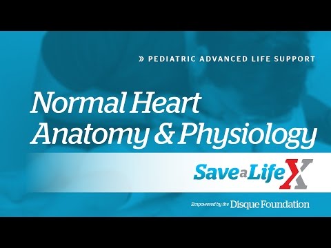 4. SaveALifeX: PALS - Normal Heart Anatomy & Physiology