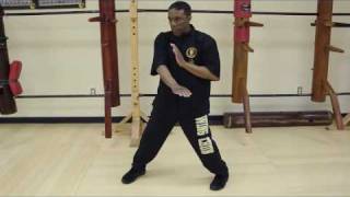 Sifu Phillip Redmond & TWC Central Line theory