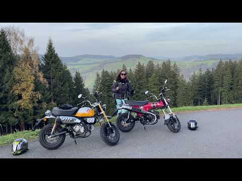 2023 Honda Dax 125 vs '22 Monkey (First Impressions - English)