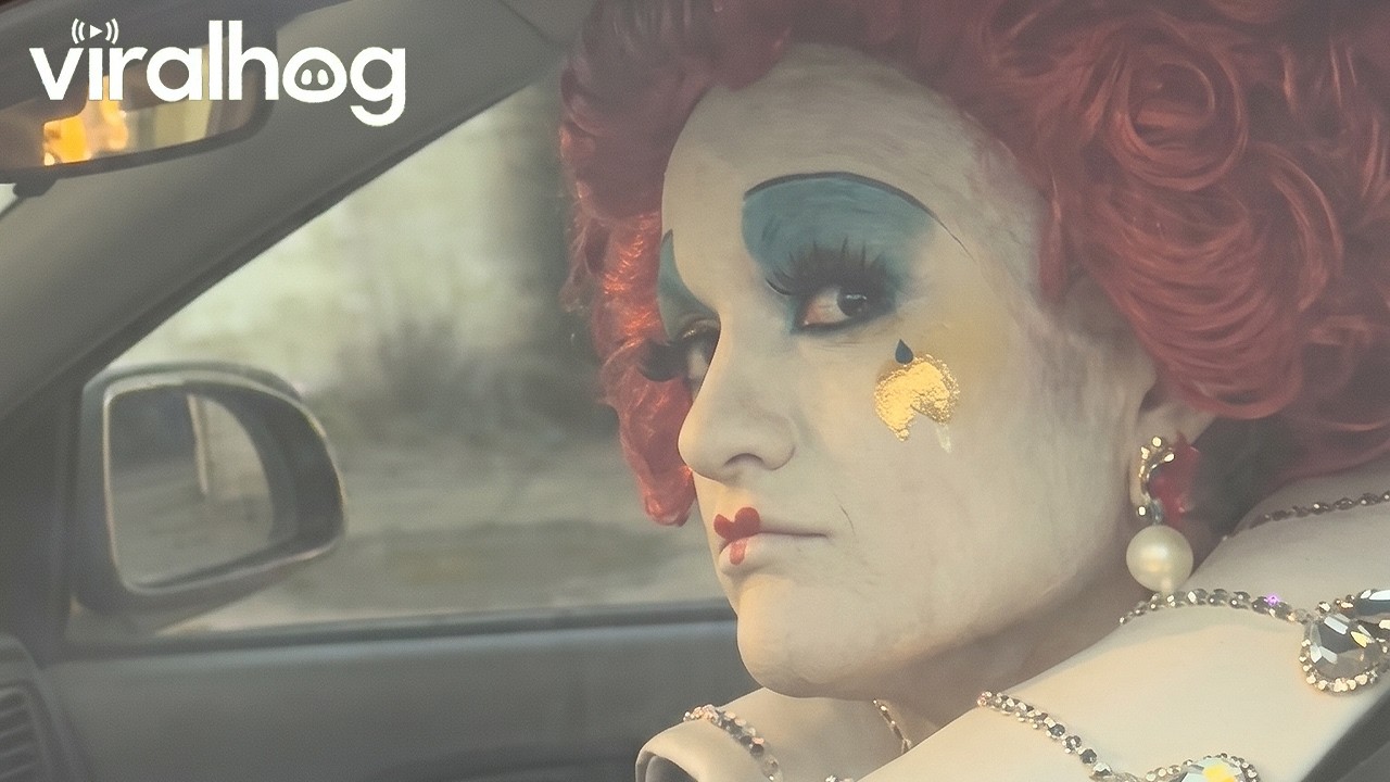 Driving Past Alice in Wonderland Characters || ViralHog