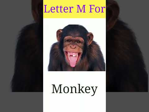 M for monkey, moon, mango & maize| Alphabet learning letter M #youtubeshorts #shorts