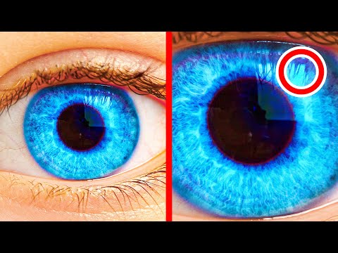 あなたの体についての100+あまり知られていないが本当の事実 (100+ Little-Known But True Facts About Your Body)