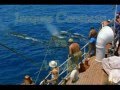 Cousteau VS Whales