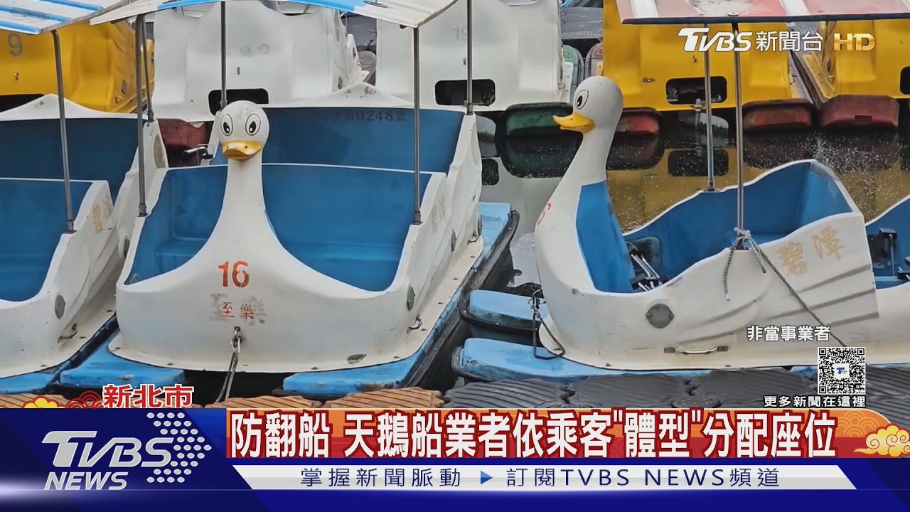 影音/天鵝船出租「分配乘客座位」防翻船 業者曝危險行為秒制止